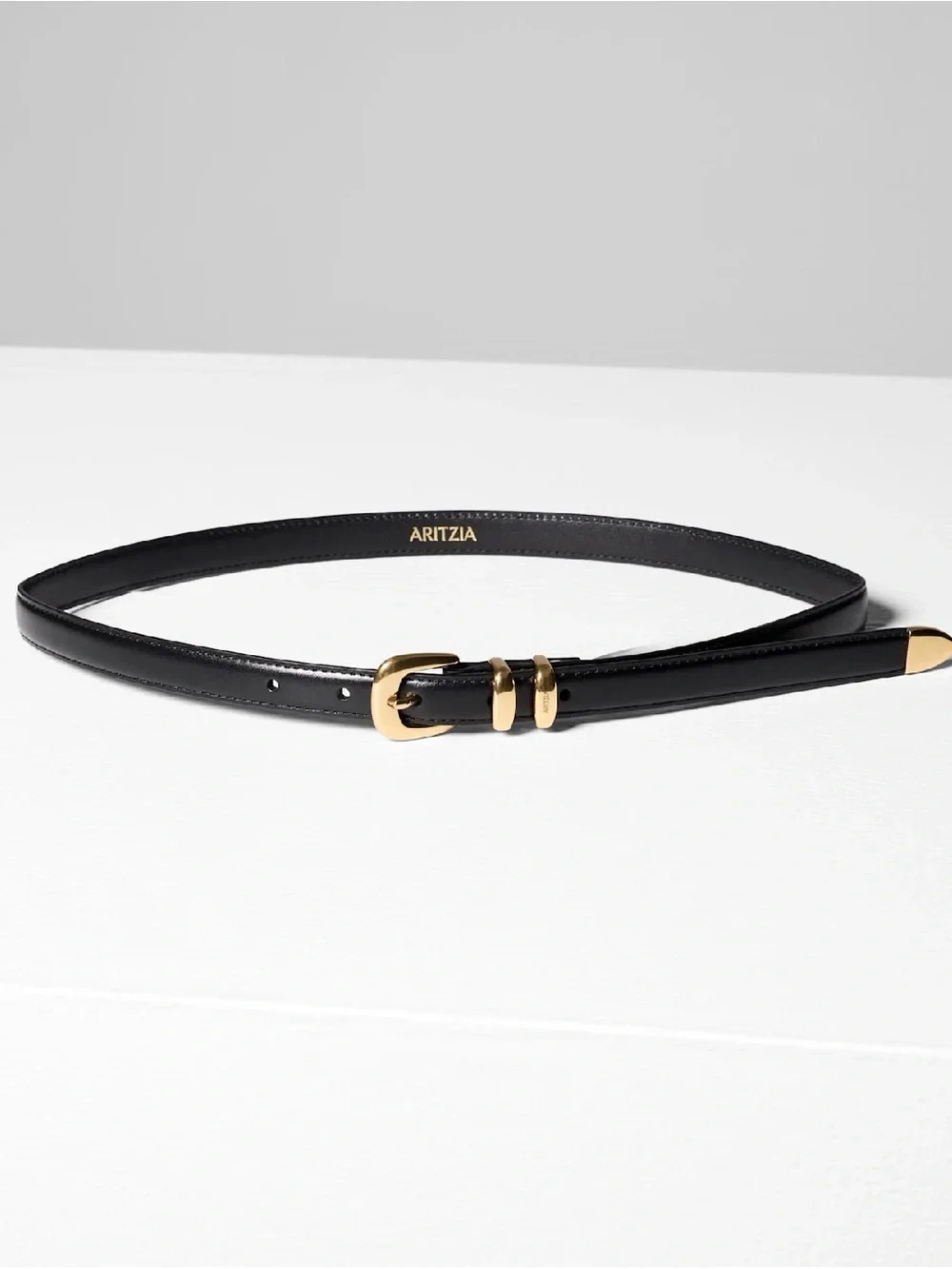 Aritzia Legendary Solid Brass Leather Slim Belt